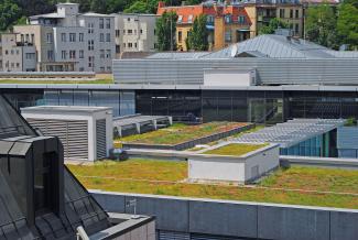 In urban centres, the system build-up for the “Urban Climate Roof“ provides for an increased cooling of the ambient temperature thanks to a maximum evaporation capacity. Extensive green roof in the city