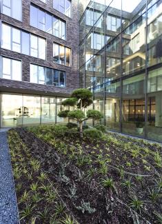 The new “Stormwater Management Roof“ at Mitsubishi Electric Europe B.V. in Ratingen/Germany consist of 3,800 m² of extensive green roof and 640 m² intensive green roof. © Mitsubishi Electric Europe B.V. Courtyard with plant bed and small tree