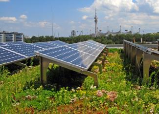 Green roof with photovoltaics
