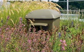 Nesting aids foster the settlement of insects in particular. Green roof with herbs and Nesting aid