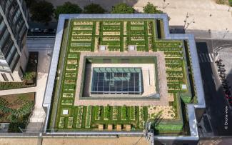 Bird's eye view of the roof garden