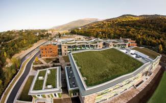 Buildings with extensive green roofs surrounded by forests