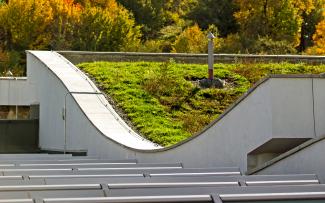 Pitched green roof