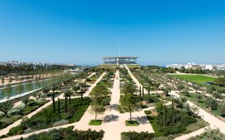 Large green roof with mediterranean vegetation