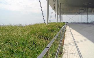 Terrace and green roof with grasses