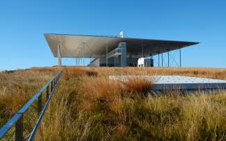 Colourful grasses on a roof and modern building with a flat roof