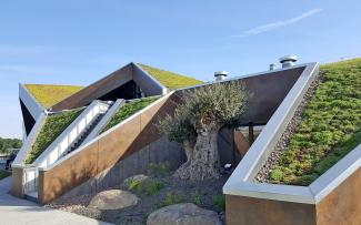 Pitched green roof with various slopes