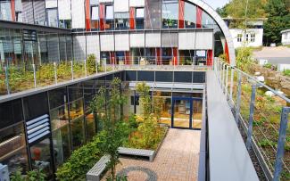 Roof garden and green courtyard