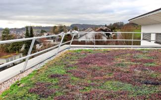 Vegetated roof with railing