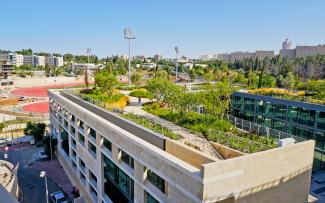 Roof garden with walkways, ornamental grasses, perennials and small trees