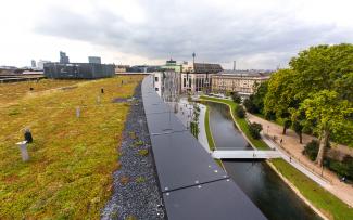 Sedum roof