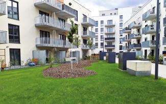 The newly planted trees look nice and slender at the centre of the lawn, which is already very green in its first vegetation period. Newly planted small trees surrounded by residential buildings