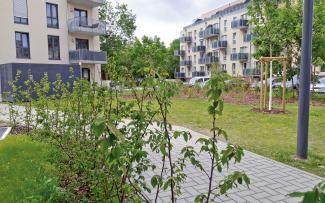 Pathways wind through the newly installed green areas with their shrubs and trees. Greened area with shrubs and trees surrounded by housing blocks