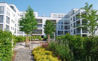 Green courtyard with shrubs, bushes, trees and playground, surrounded by residential blocks