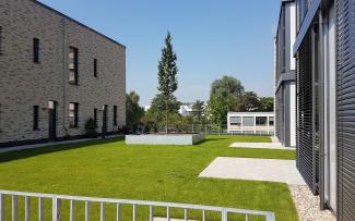 Green roof with lawn