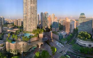 City with greenery on the ground and on the roofs