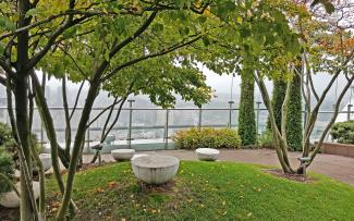 Roof garden with wooden decking, small trees and lawn