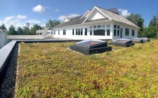 Extensive green roof
