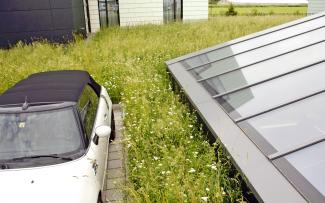 Car on a green roof surrounded by a meadow