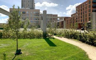 Walking path through meadows with small fruit trees