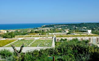 Bird's eye view onto extensive green roofs