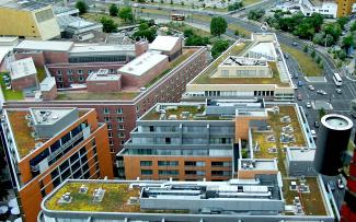 Urban settings have to better utilise the maximised ecosystem performance of green roofs – such a lot is possible these days. Extensive green roof in the city