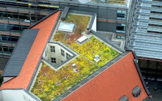 Every square metre of green space is valuable, particularly in urban settings, and helps in the case of heavy rain events, heating and fine particle pollution. Sedum roof from bird's eye view