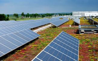 Solar and green complement each other perfectly as the plants ensure a lower ambient temperature and they therefore increase the yield from the photovoltaic system. Sedum roof and solar panels