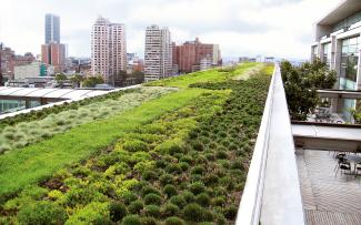 The Urban Climate Roof provides for maximum evaporation performance, which mitigates urban heating and with that the risk of localised heavy rain events. Extensive green roof in the city