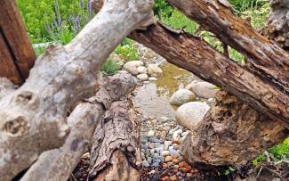 Deadwood provides a habitat for mosses, lichens, fungi, beetles and other insects, and should really be referred to as “biotope wood”. © Hohenschlaeger/ZinCo Dead wood in front of gravel