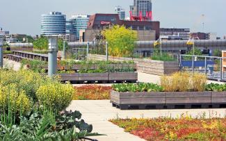 Urban rooftop farming