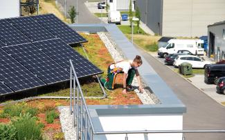 Roof gardener on a green roof with photovoltaics