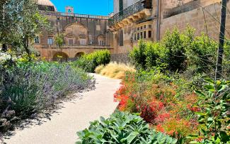 Roof garden with a pathway