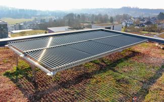 Combination with an extensive green roof Extensive green roof with PV tubes