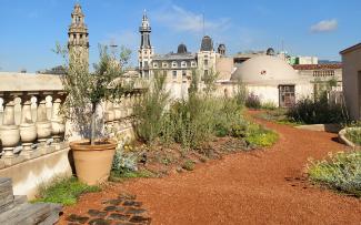 Roof garden