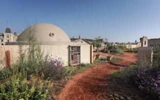 Roof garden