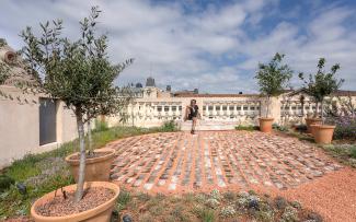 Mediterranean roof garden