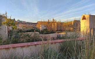 Green roof