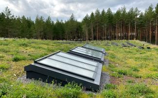 Green roof with skylights