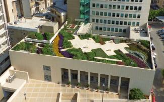 Bird's eye view onto a green roof in the city