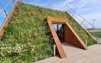 Terrace with green roof 