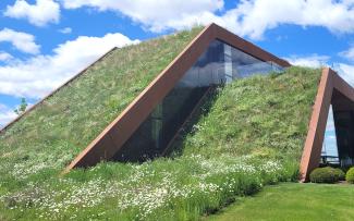 Meadow on the ground and pitched roof areas
