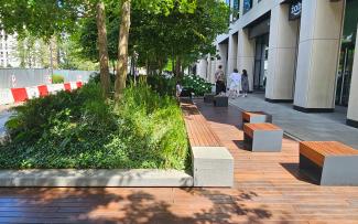 Benches, greenery and wooden decking