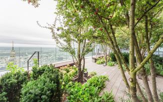 Roof garden with small trees