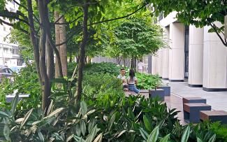 Benches and green vegetation in the city