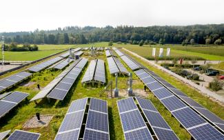 Green roof with photovoltaics