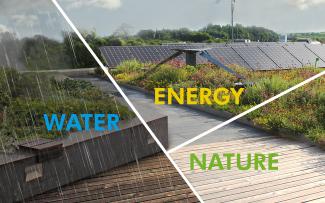 Green roof composing