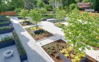 Garden with walkways, plant beds, fire pits and small trees