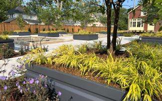 Vegetated raised plant beds