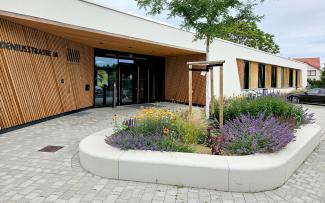 Flowering plant bed and small tree in front of a building